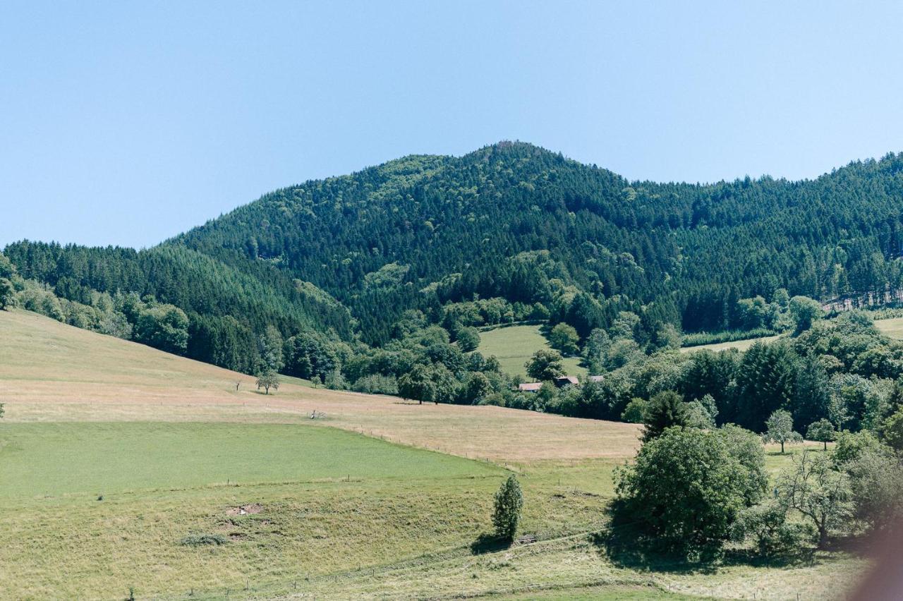 Rustikale 3 Zi.-Fewo Naehe Freiburg 70Qm シモンスヴァルト エクステリア 写真